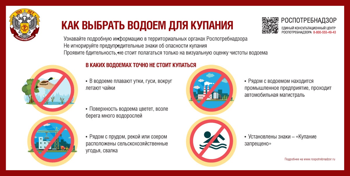 Инфографика управления Роспотребнадзора по Архангельской области
