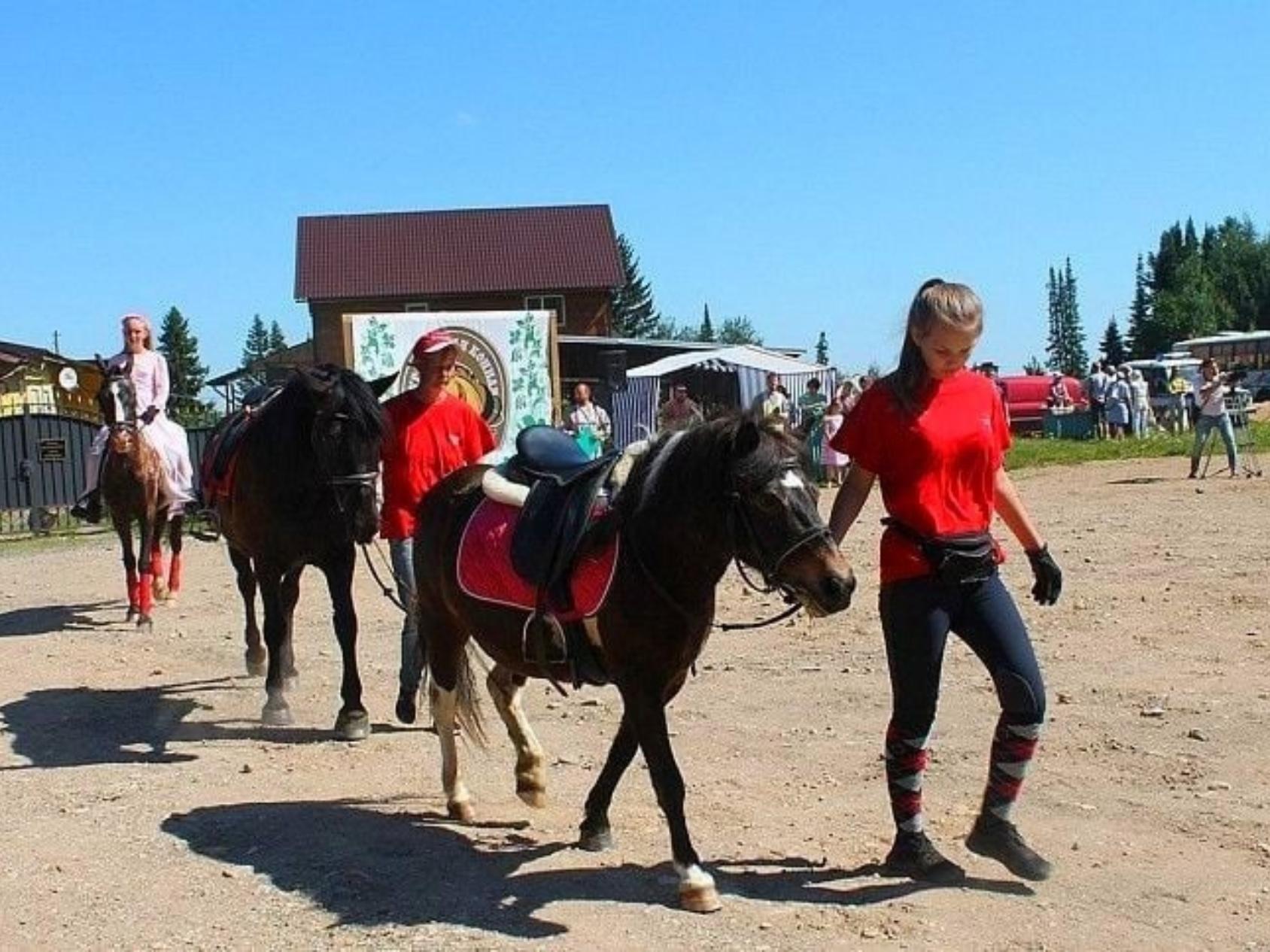 Особенности Праздника лошади
