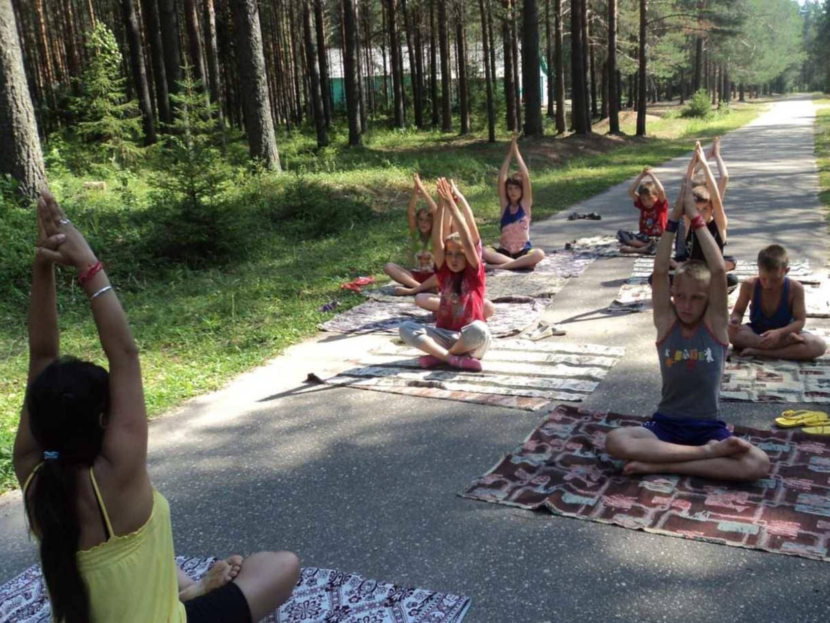 Расположиться на поляне. Лагерь зеленая Поляна Подюга. Зеленая Поляна лагерь Архангельск.